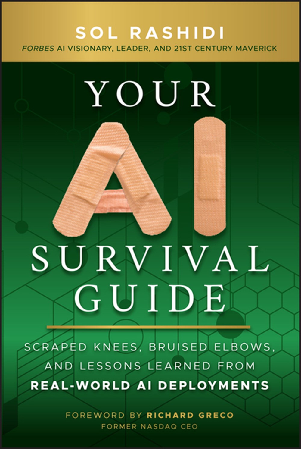 Your AI Survival Guide Scraped Knees, Bruised Elbows, and Lessons Learned from Real-World AI Deploym